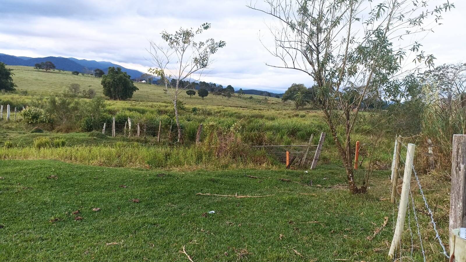 Fazenda, 169 hectares - Foto 5