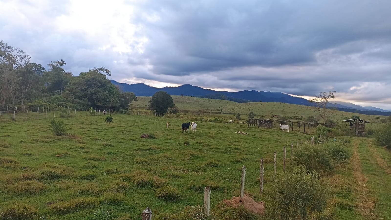Fazenda, 169 hectares - Foto 1