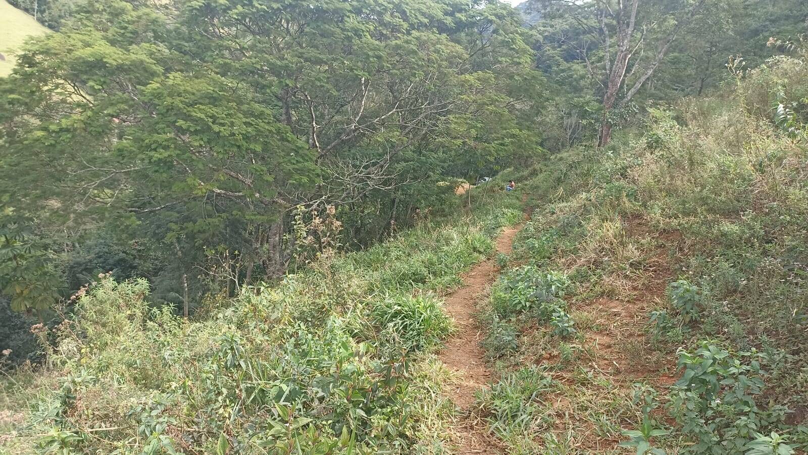 Chácara, 2 quartos, 2 hectares - Foto 3