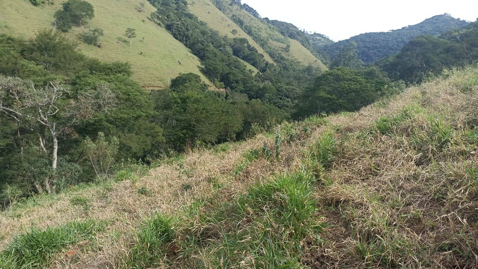 Chácara, 2 quartos, 2 hectares - Foto 4