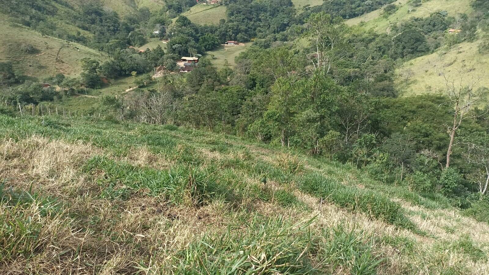 Chácara, 2 quartos, 2 hectares - Foto 7