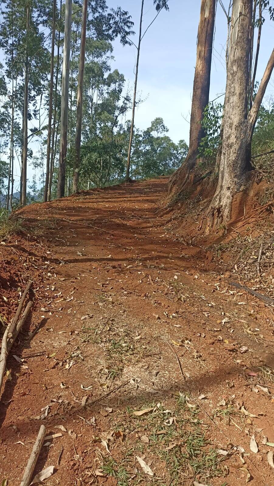 Chácara, 2 quartos, 2 hectares - Foto 8