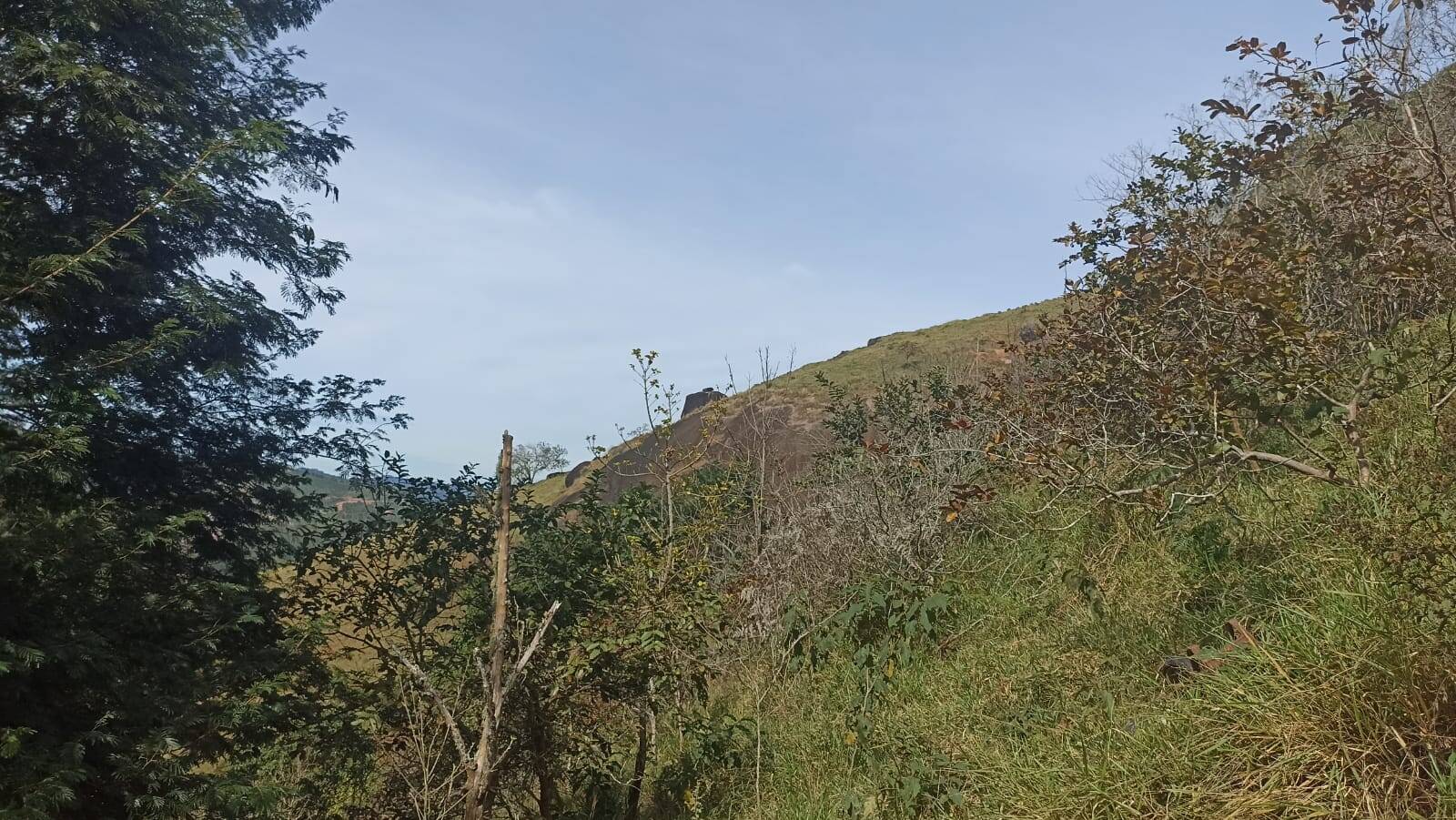 Chácara, 2 quartos, 2 hectares - Foto 9