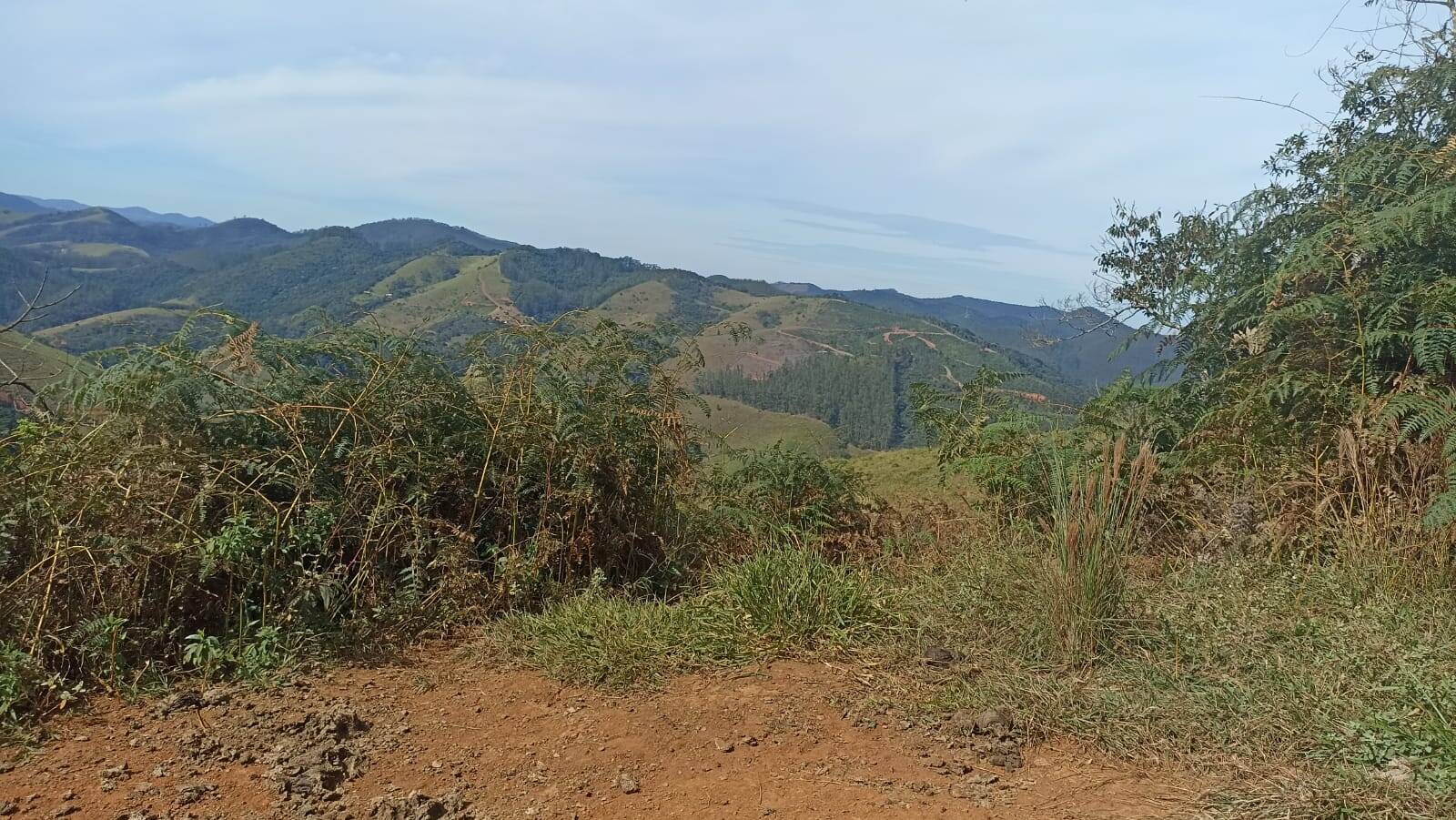Chácara, 2 quartos, 2 hectares - Foto 10