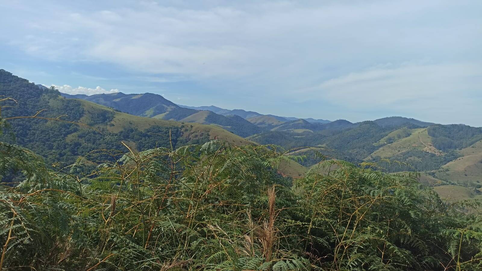 Chácara, 2 quartos, 2 hectares - Foto 16