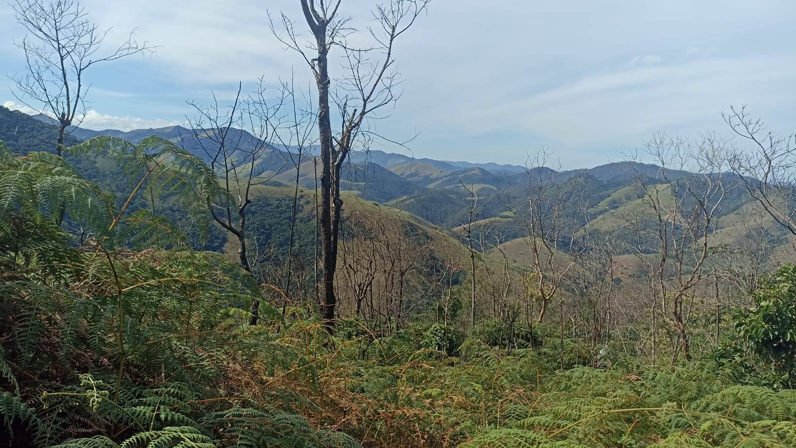 Chácara, 2 quartos, 2 hectares - Foto 20