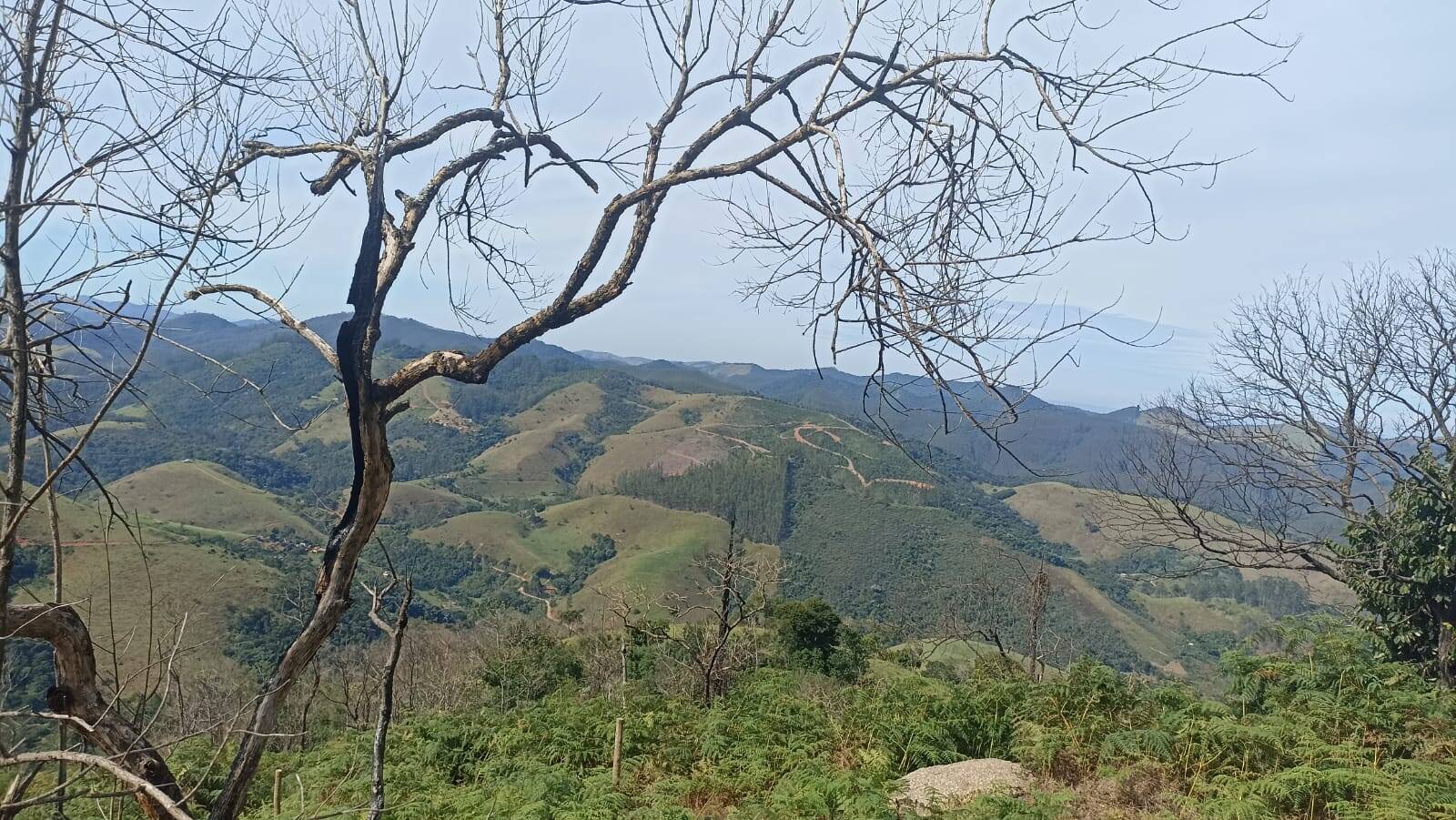 Chácara, 2 quartos, 2 hectares - Foto 25