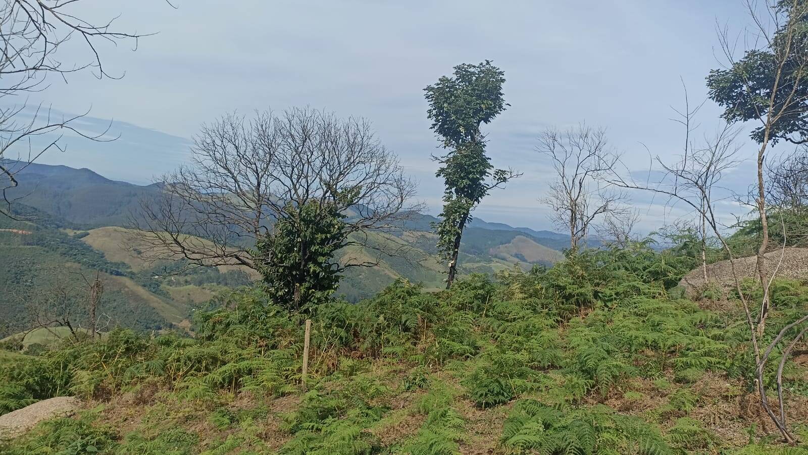 Chácara, 2 quartos, 2 hectares - Foto 24