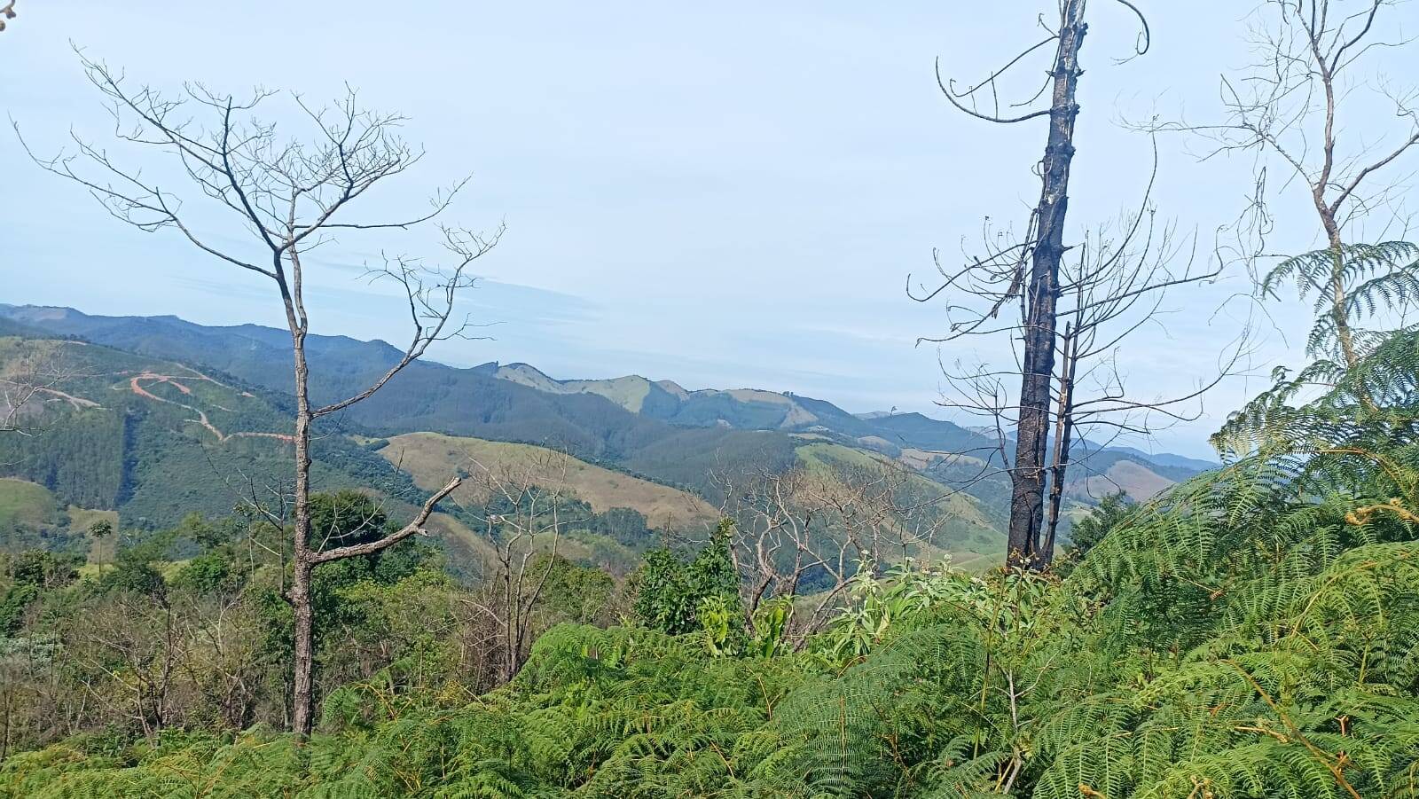 Chácara, 2 quartos, 2 hectares - Foto 27