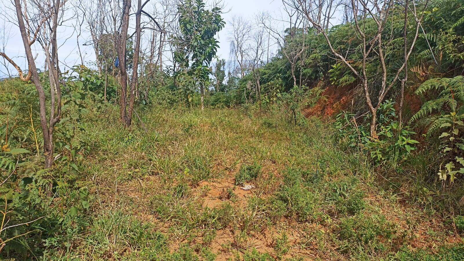 Chácara, 2 quartos, 2 hectares - Foto 28