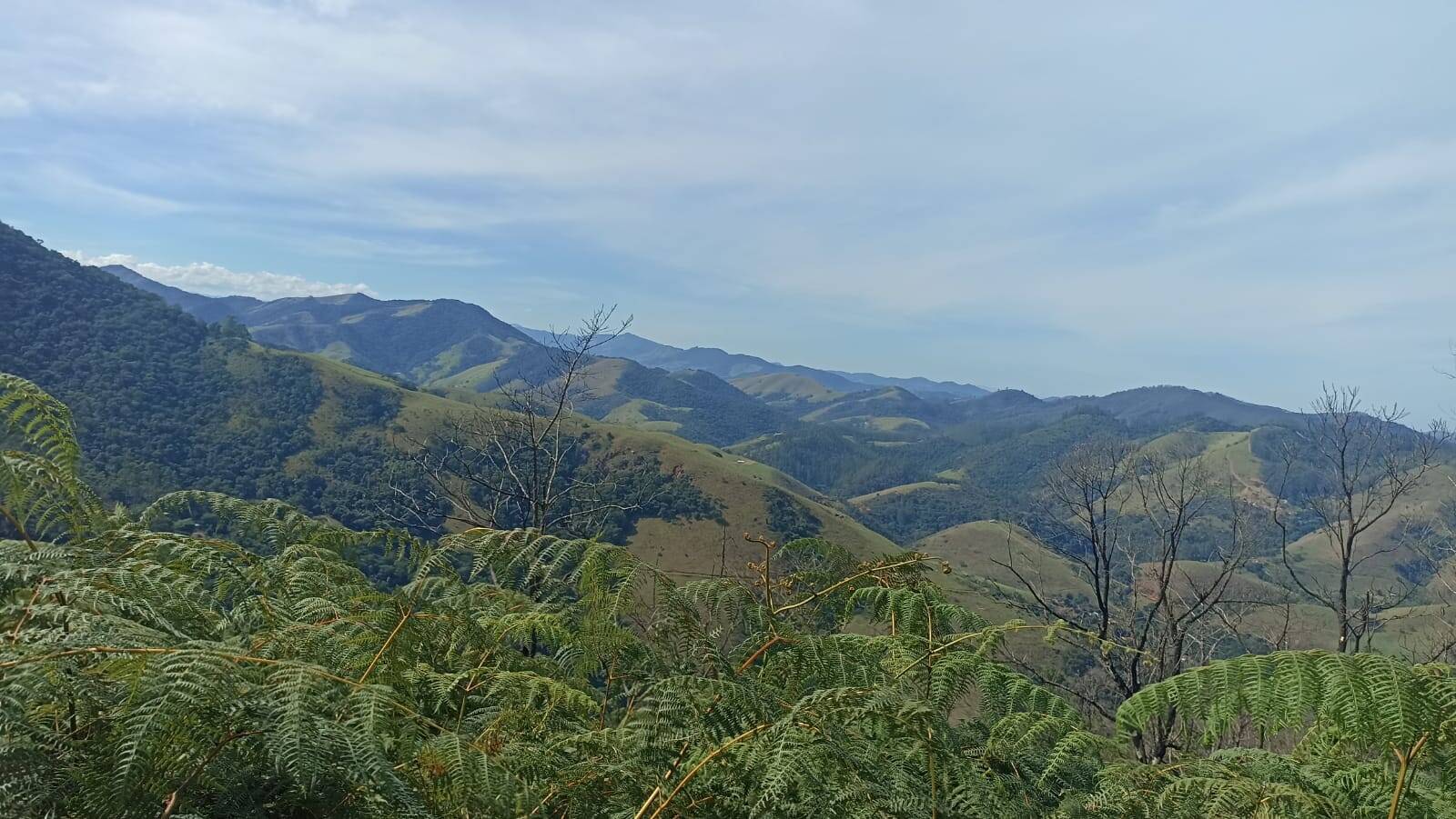 Chácara, 2 quartos, 2 hectares - Foto 26