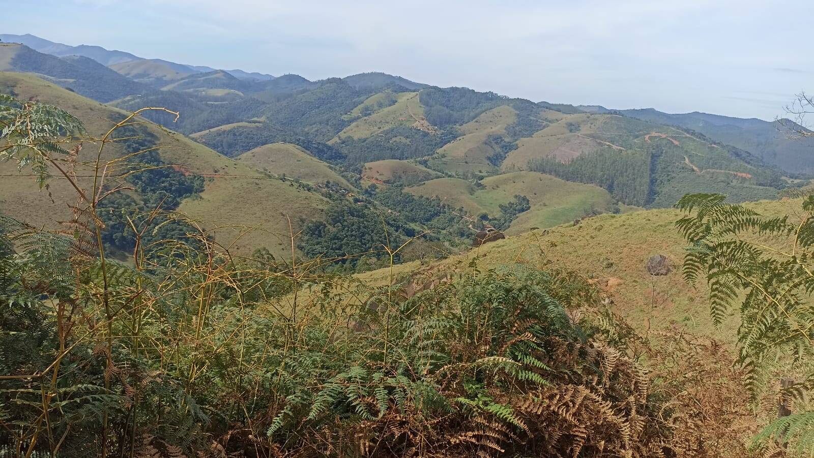 Chácara, 2 quartos, 2 hectares - Foto 31