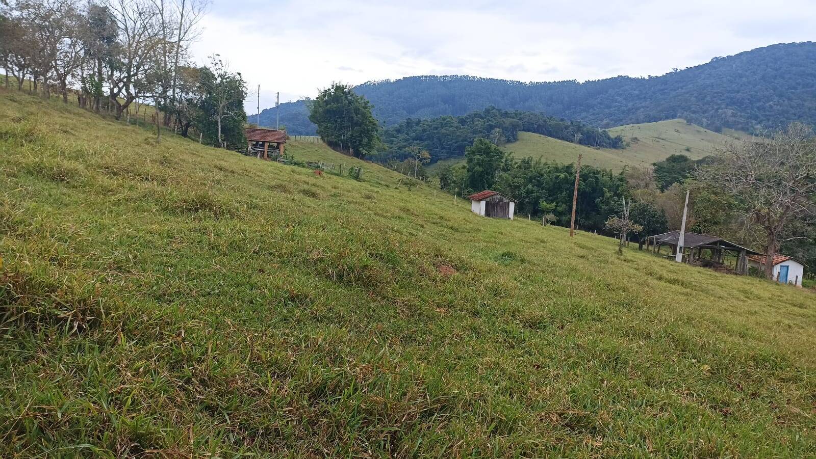 Terreno, 77 hectares - Foto 1