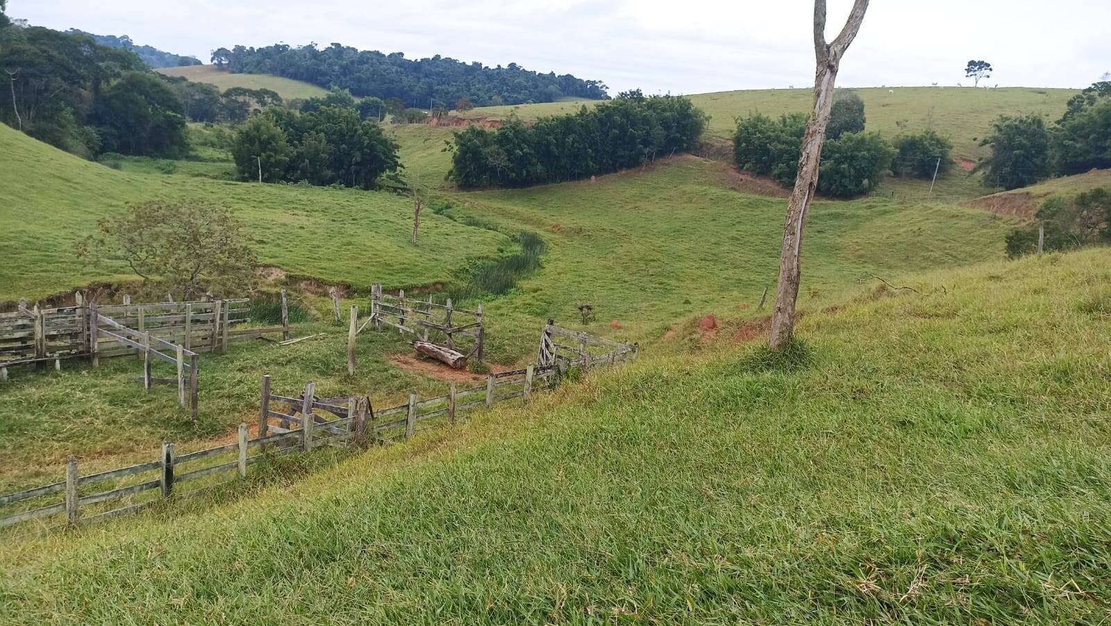 Terreno, 77 hectares - Foto 2