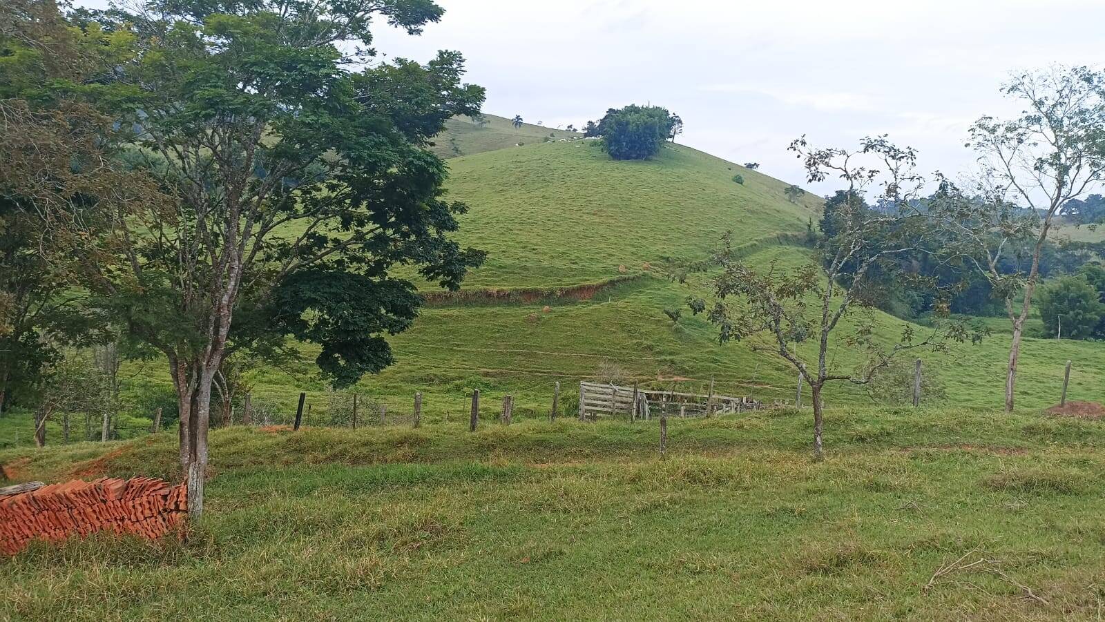 Terreno, 77 hectares - Foto 4