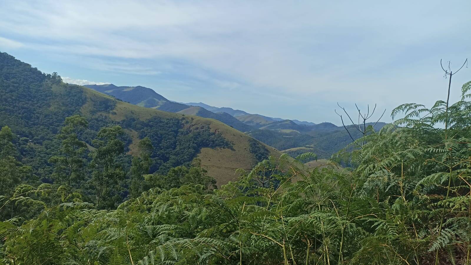 Terreno, 77 hectares - Foto 6