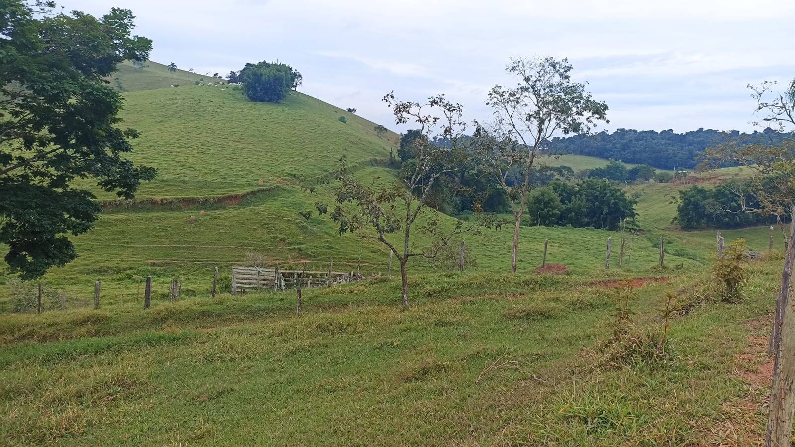 Terreno, 77 hectares - Foto 5