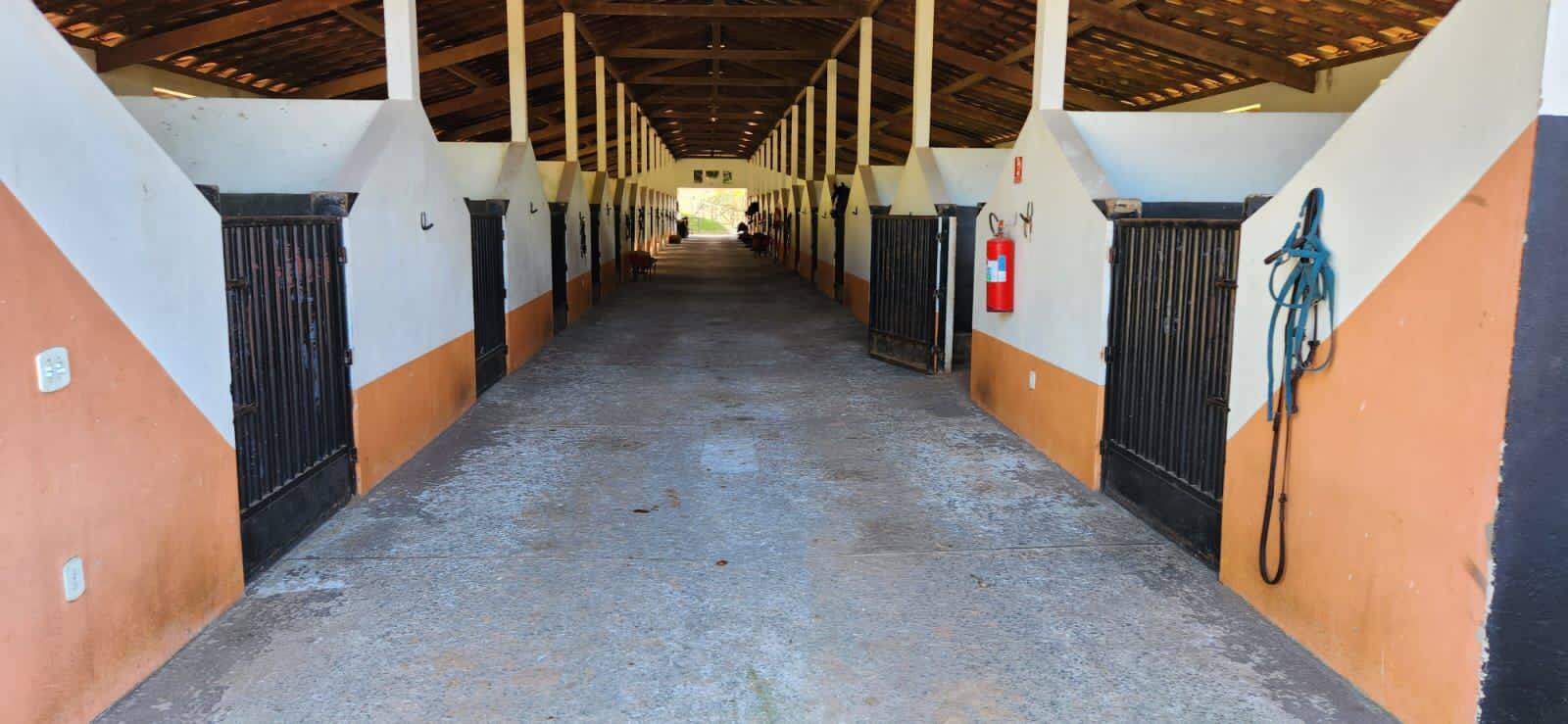 Sítio, 3 quartos, 300 m² - Foto 2