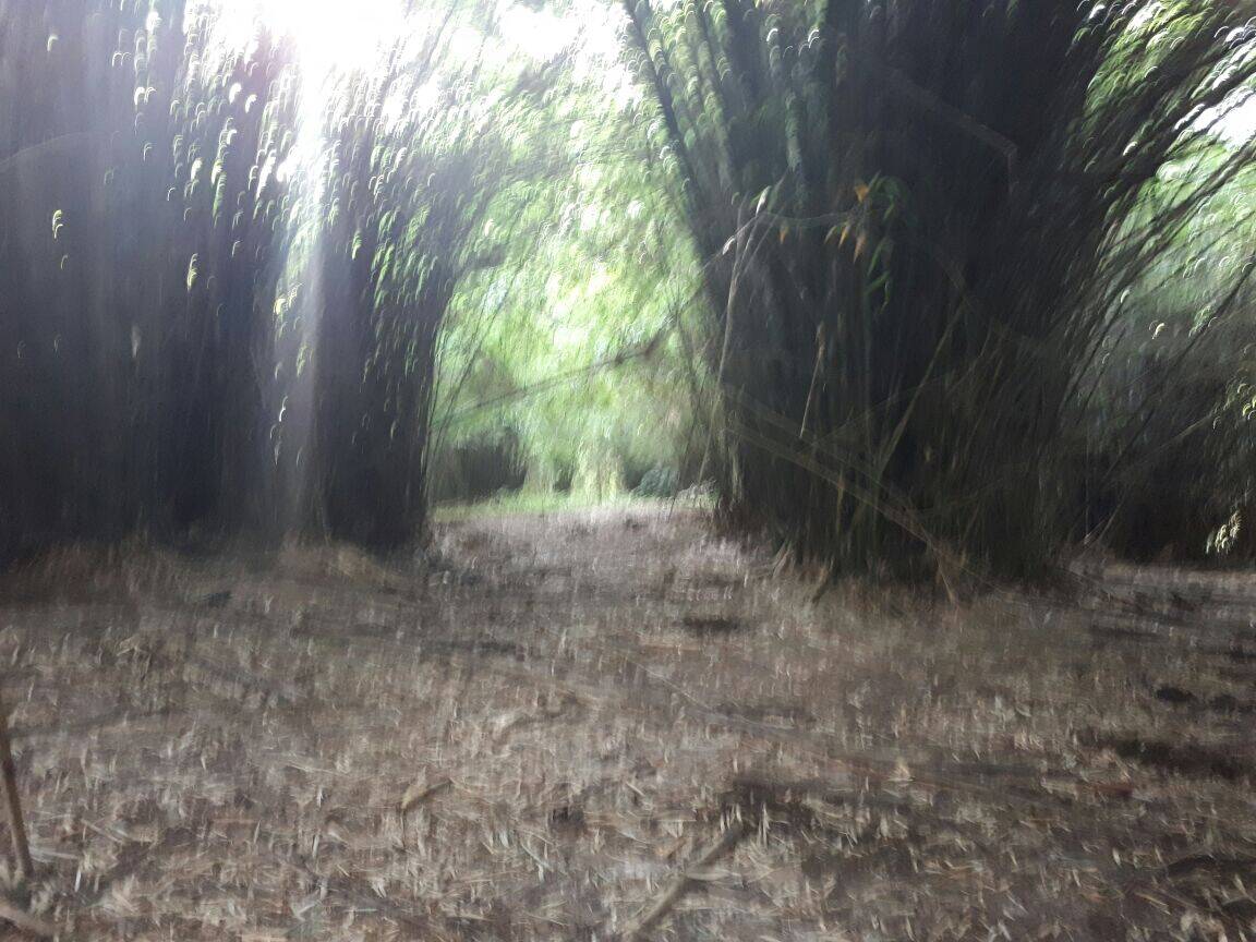 Sítio em São José dos Campos/São Paulo — Ref Q1U4Z0 — Imagem 4