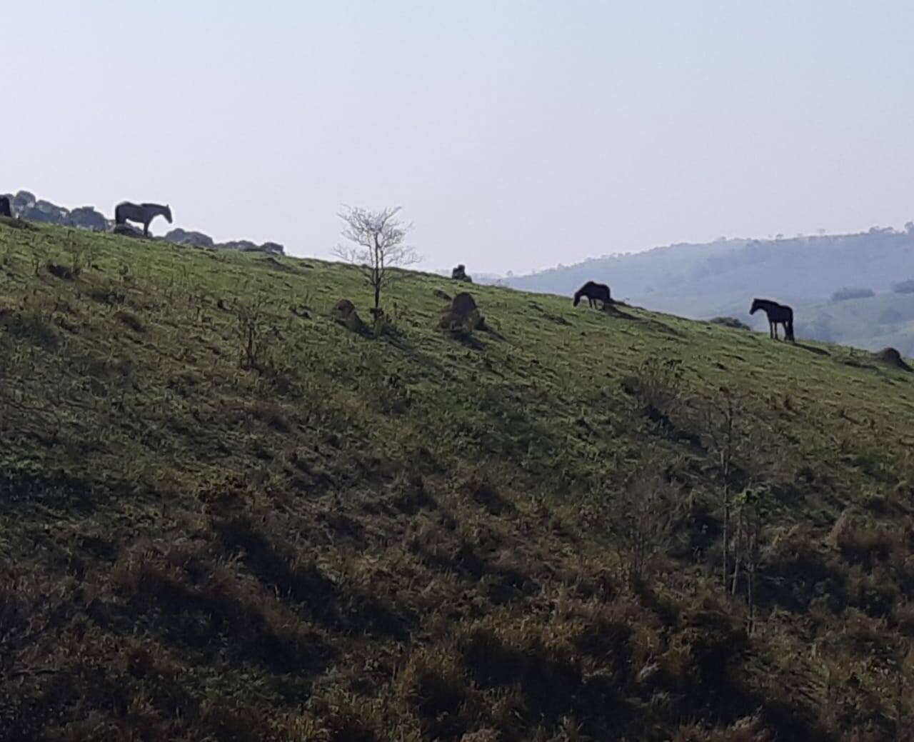 Sítio em São José dos Campos/São Paulo — Ref Q1U4Z0 — Imagem 7