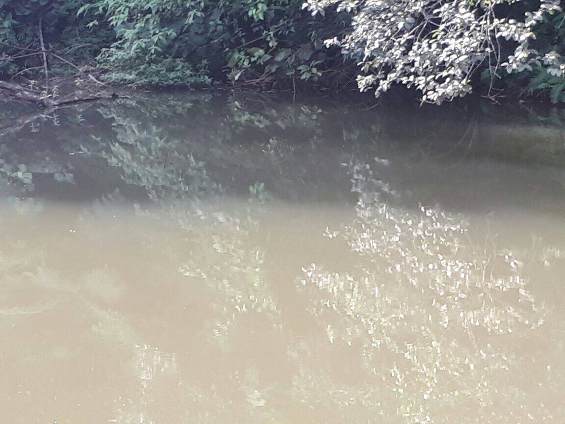 Sítio em São José dos Campos/São Paulo — Ref Q1U4Z0 — Imagem 15