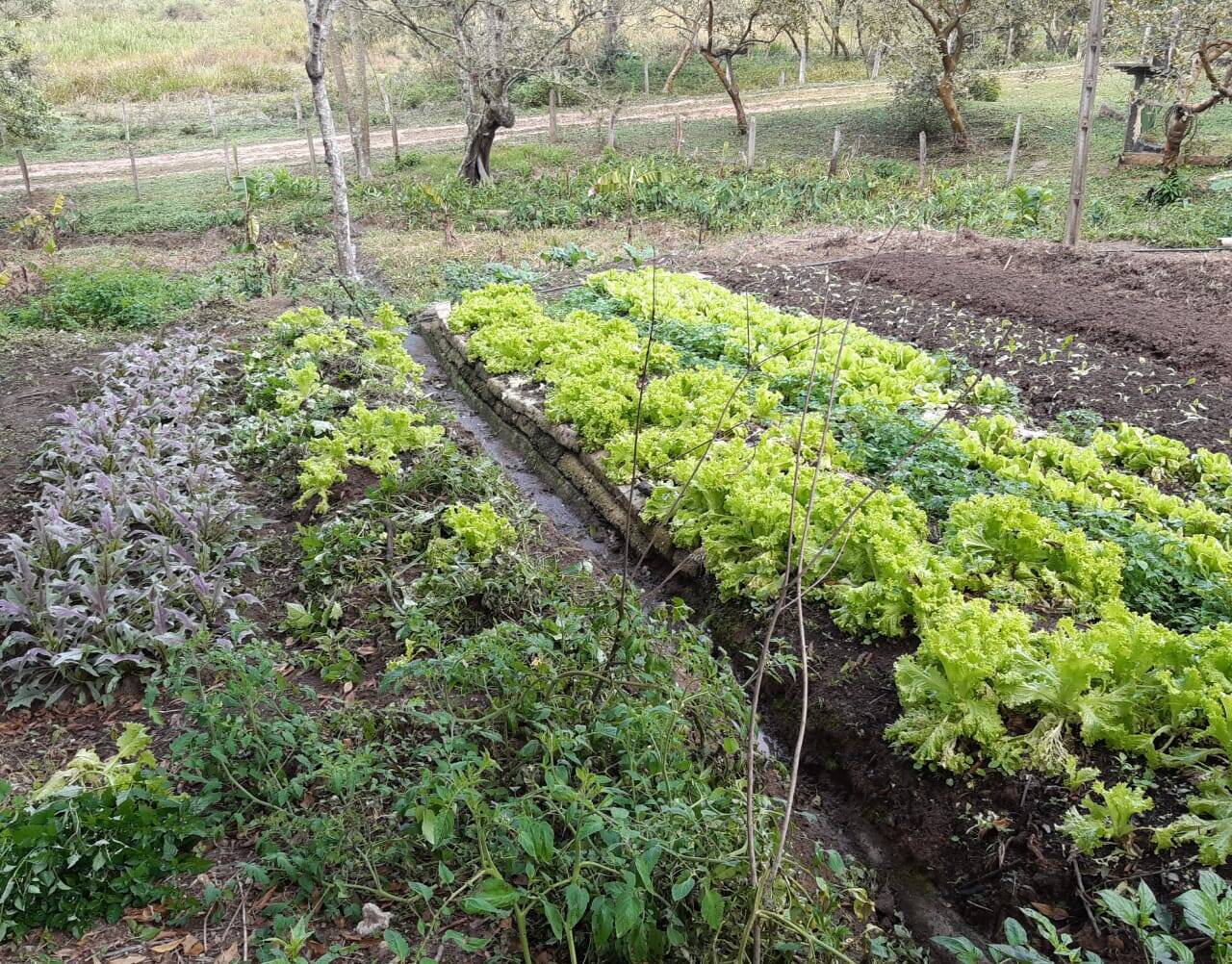 Sítio em São José dos Campos/São Paulo — Ref Q1U4Z0 — Imagem 25