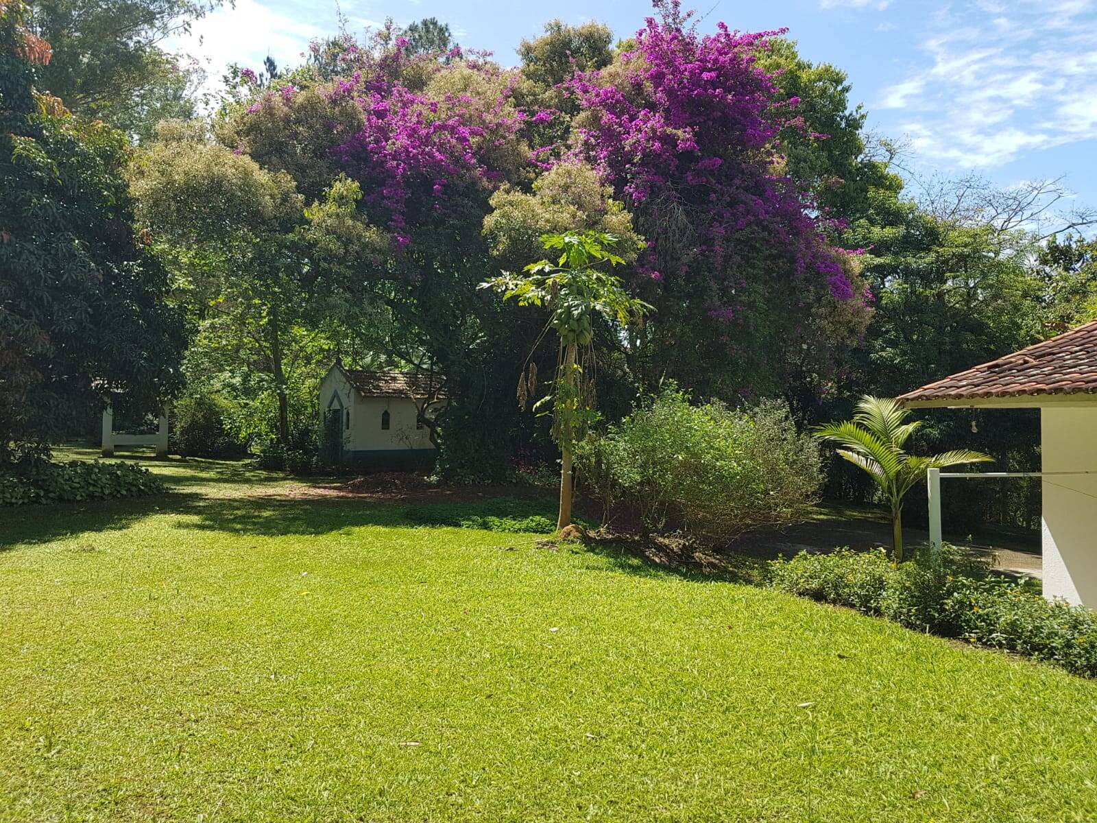 Sítio em São José dos Campos/São Paulo — Ref Q1U4Z0 — Imagem 28