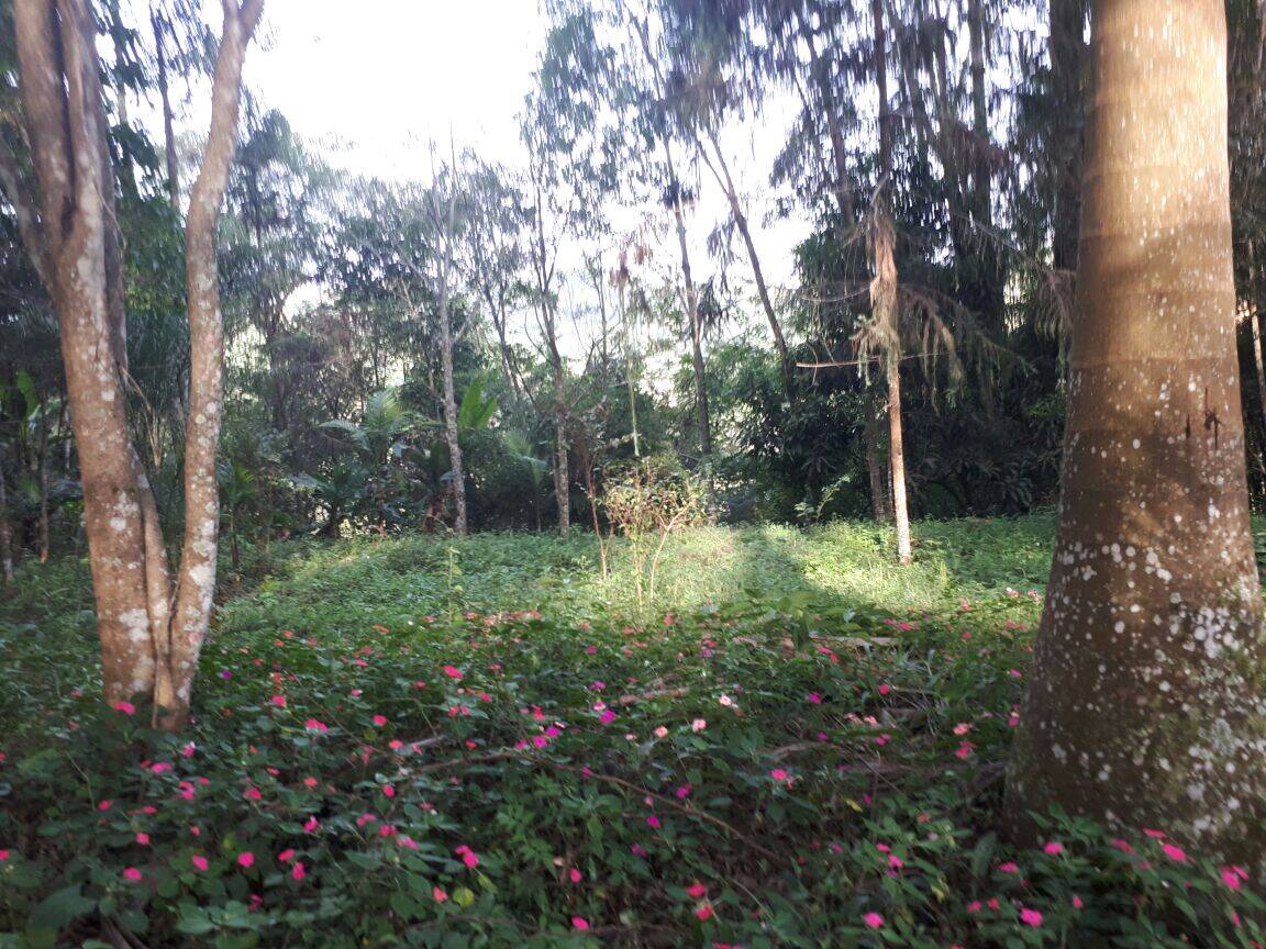 Sítio em São José dos Campos/São Paulo — Ref Q1U4Z0 — Imagem 16