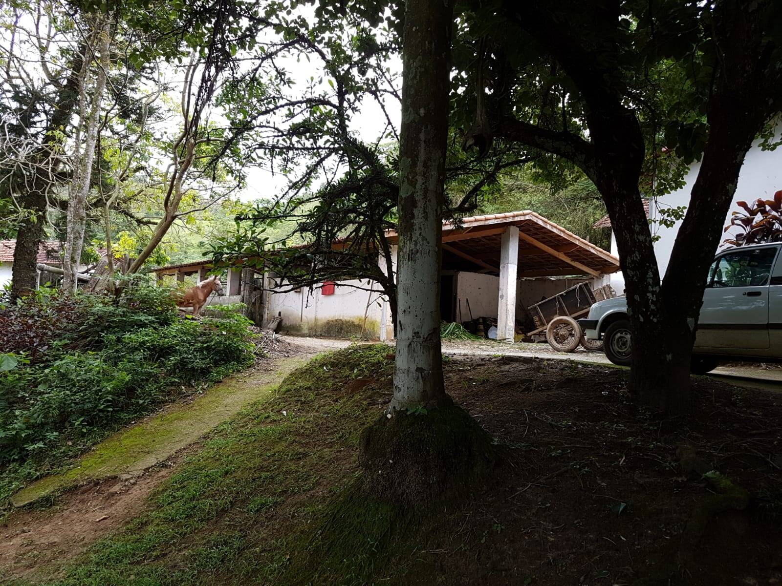 Sítio em São José dos Campos/São Paulo — Ref Q1U4Z0 — Imagem 33