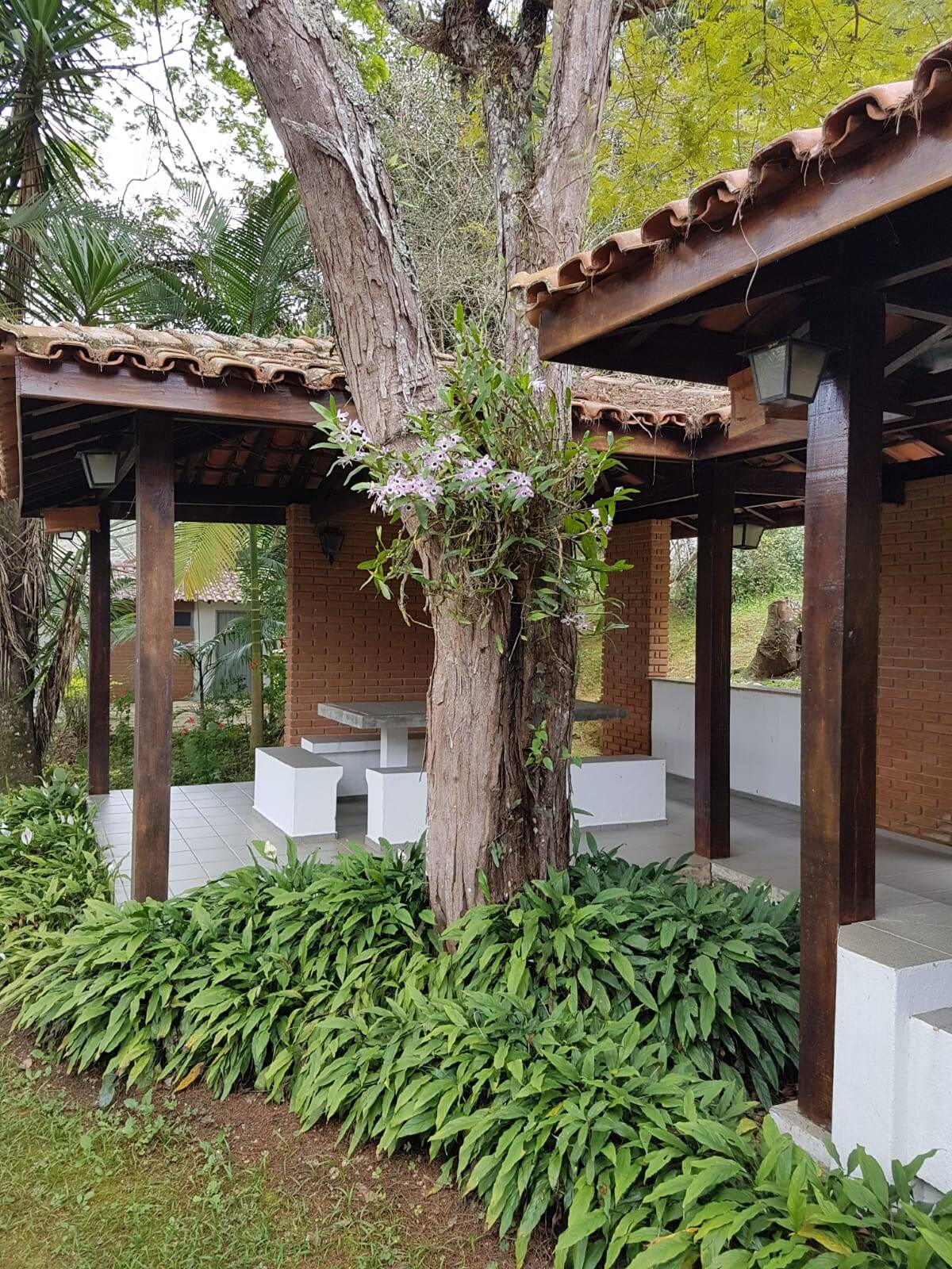 Sítio em São José dos Campos/São Paulo — Ref Q1U4Z0 — Imagem 36