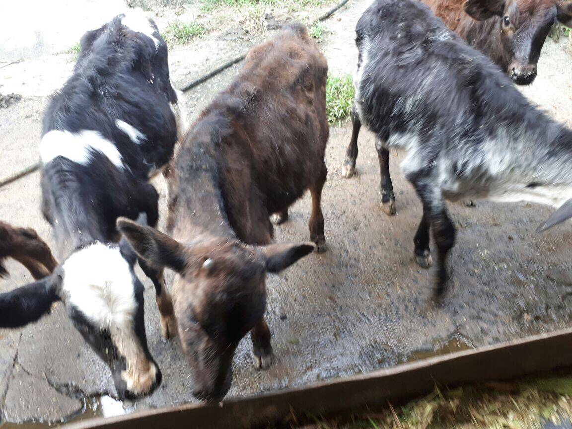 Sítio em São José dos Campos/São Paulo — Ref Q1U4Z0 — Imagem 41