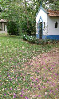 Sítio em São José dos Campos/São Paulo — Ref Q1U4Z0 — Imagem 49