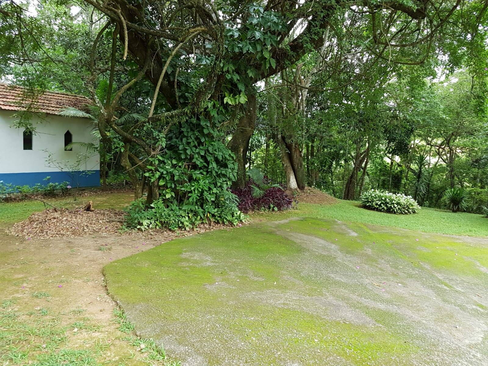 Sítio em São José dos Campos/São Paulo — Ref Q1U4Z0 — Imagem 52