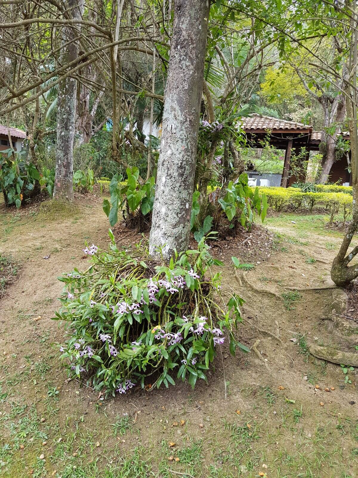 Sítio em São José dos Campos/São Paulo — Ref Q1U4Z0 — Imagem 60