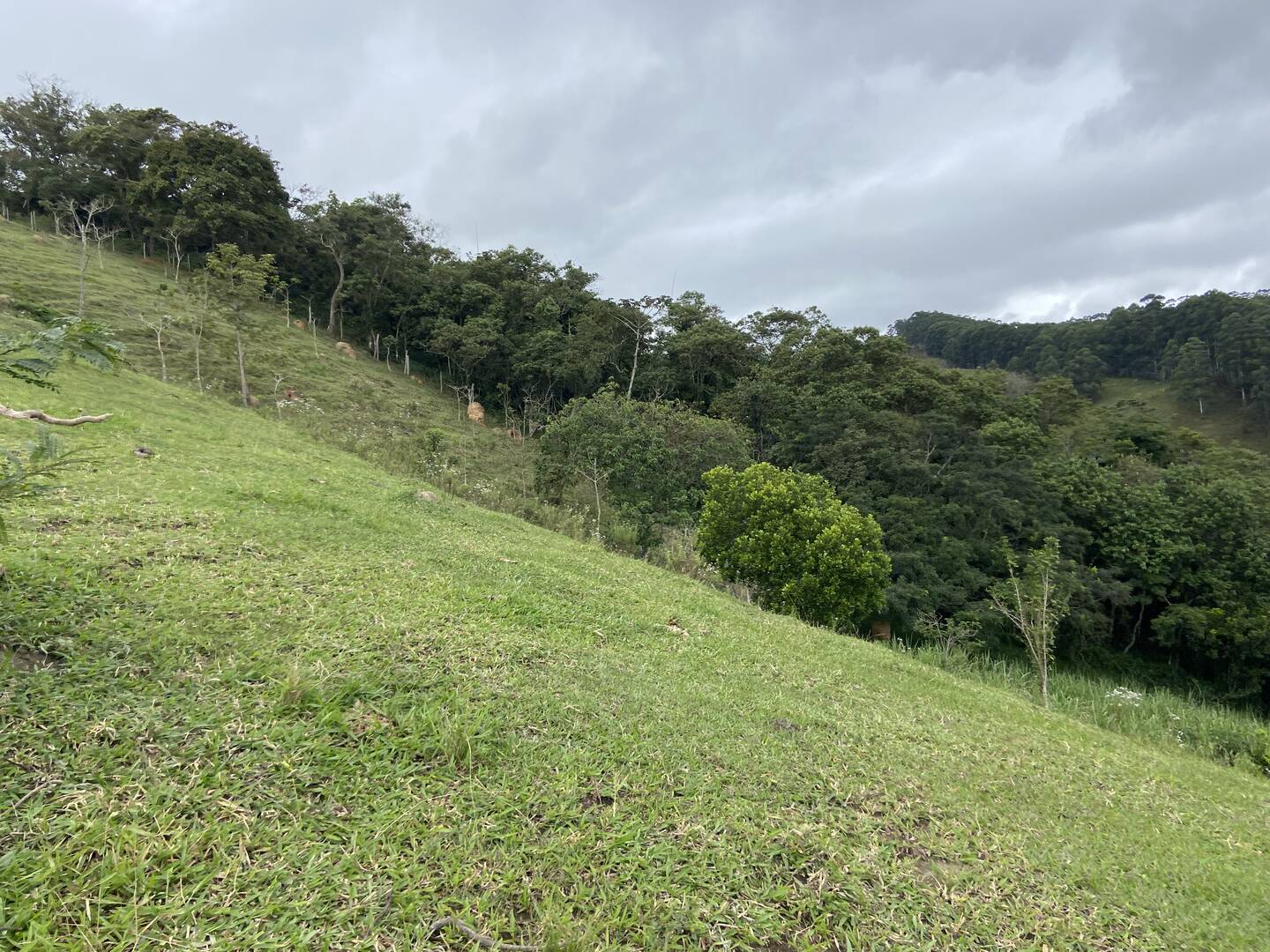 Sítio em São Luiz do Paraitinga/São Paulo — Ref PI5HGR — Imagem 3