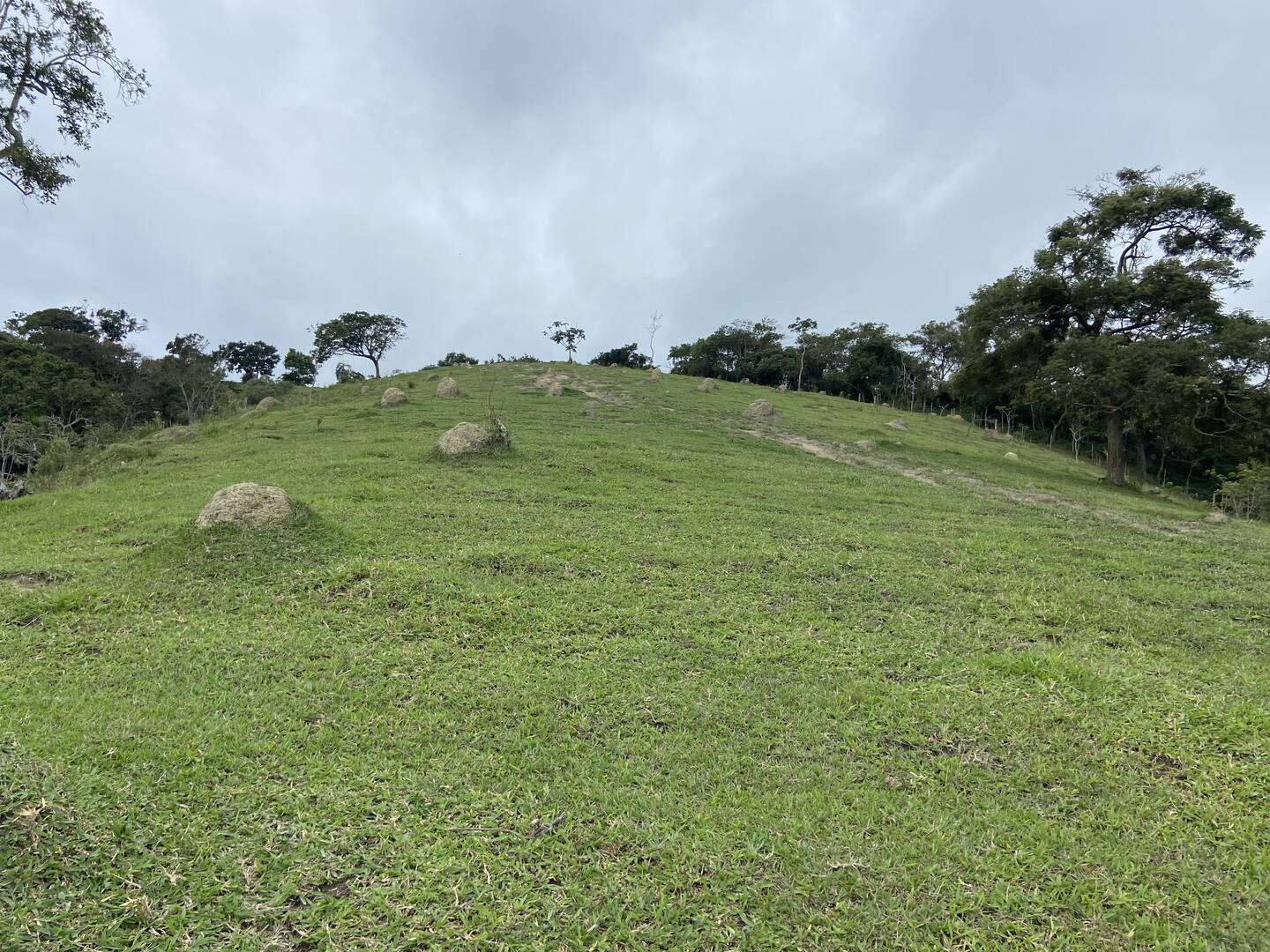 Sítio em São Luiz do Paraitinga/São Paulo — Ref PI5HGR — Imagem 8