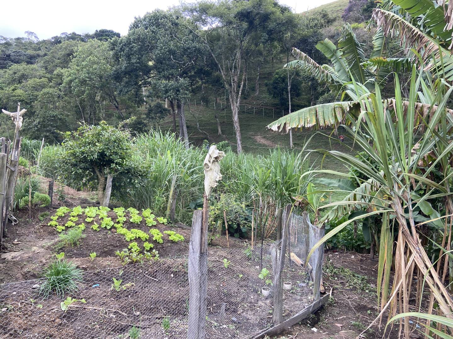 Sítio em São Luiz do Paraitinga/São Paulo — Ref PI5HGR — Imagem 15