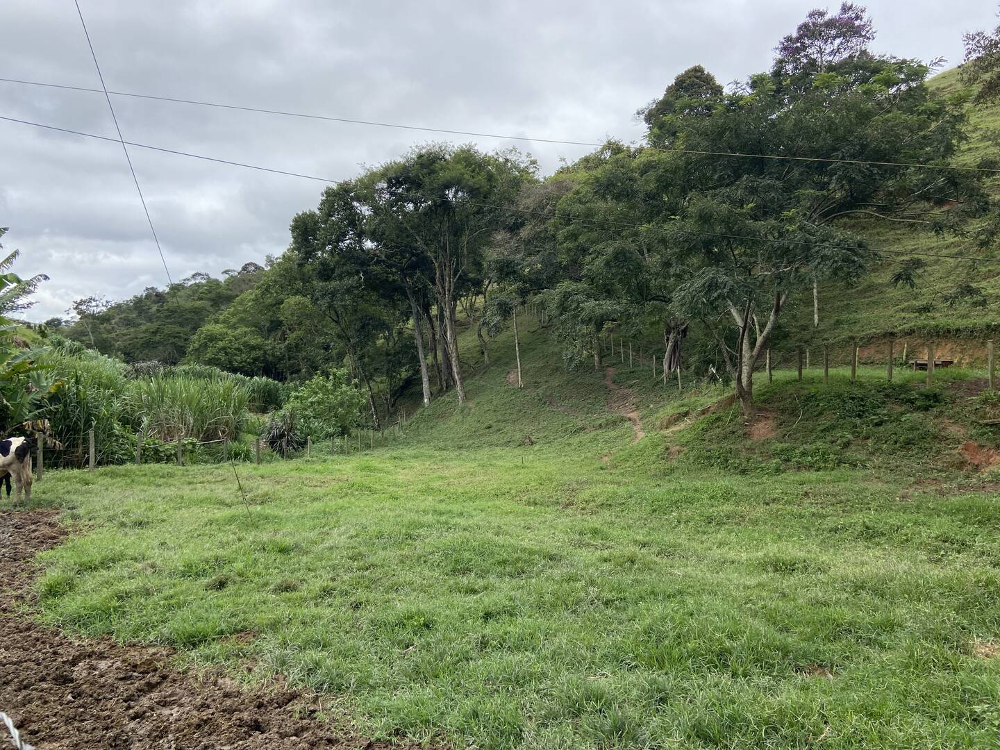 Sítio em São Luiz do Paraitinga/São Paulo — Ref PI5HGR — Imagem 19