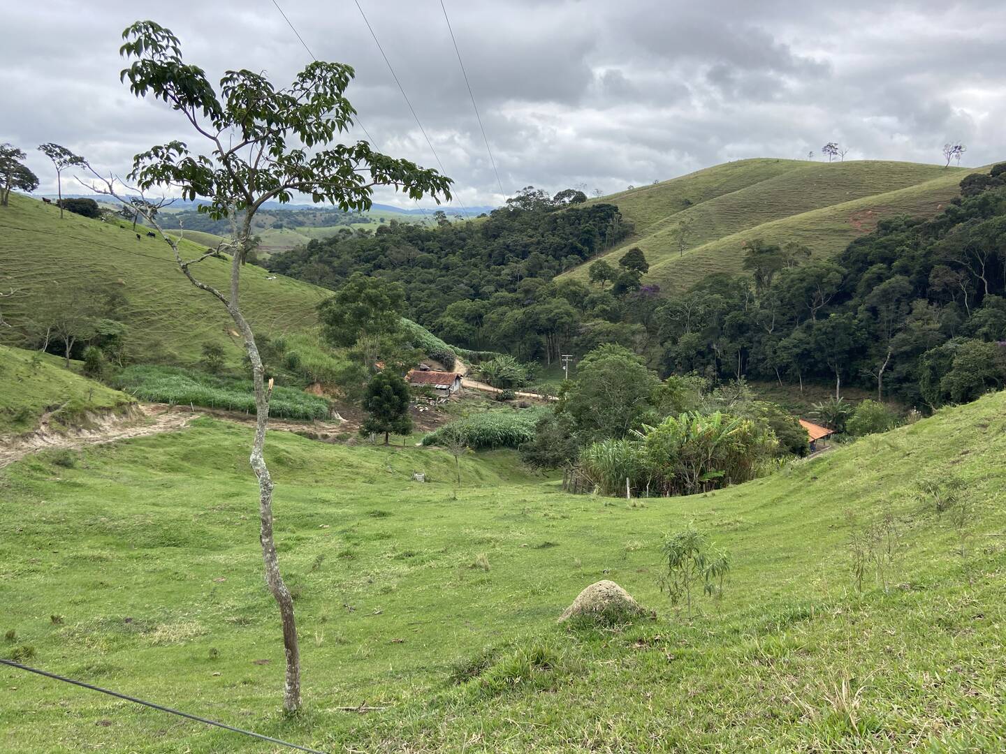 Sítio em São Luiz do Paraitinga/São Paulo — Ref PI5HGR — Imagem 21