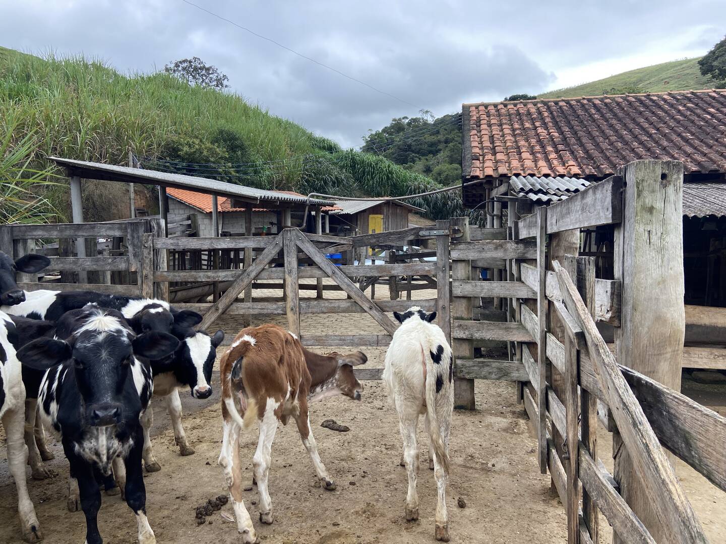 Sítio em São Luiz do Paraitinga/São Paulo — Ref PI5HGR — Imagem 22