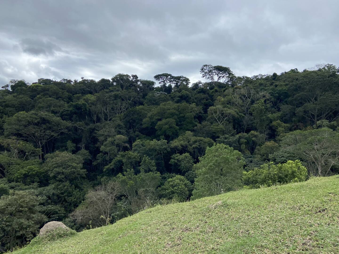 Sítio em São Luiz do Paraitinga/São Paulo — Ref PI5HGR — Imagem 23