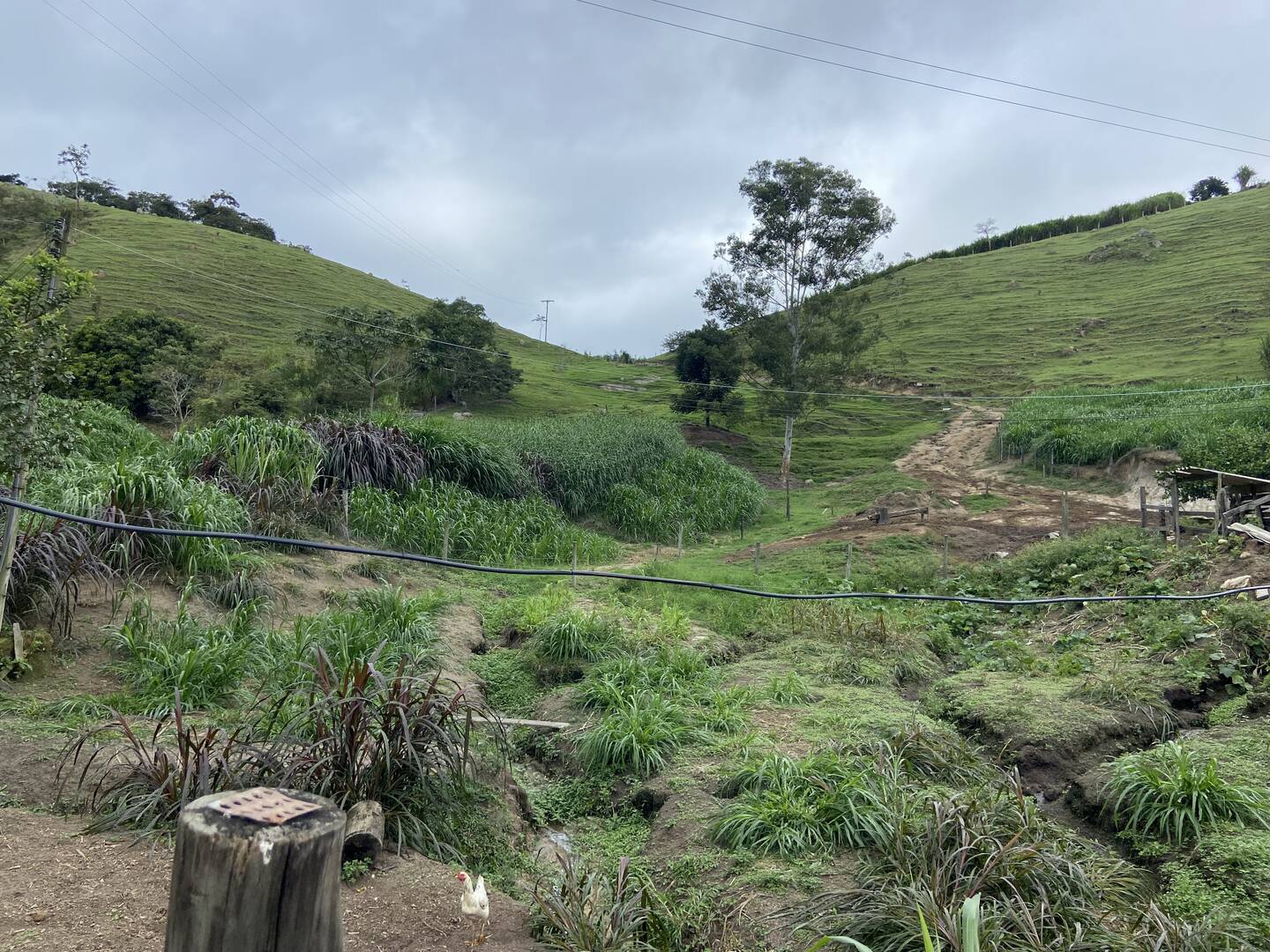 Sítio em São Luiz do Paraitinga/São Paulo — Ref PI5HGR — Imagem 24