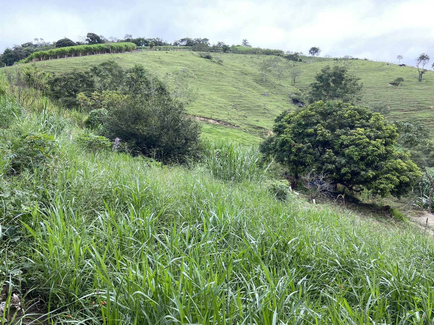 Sítio em São Luiz do Paraitinga/São Paulo — Ref PI5HGR — Imagem 29