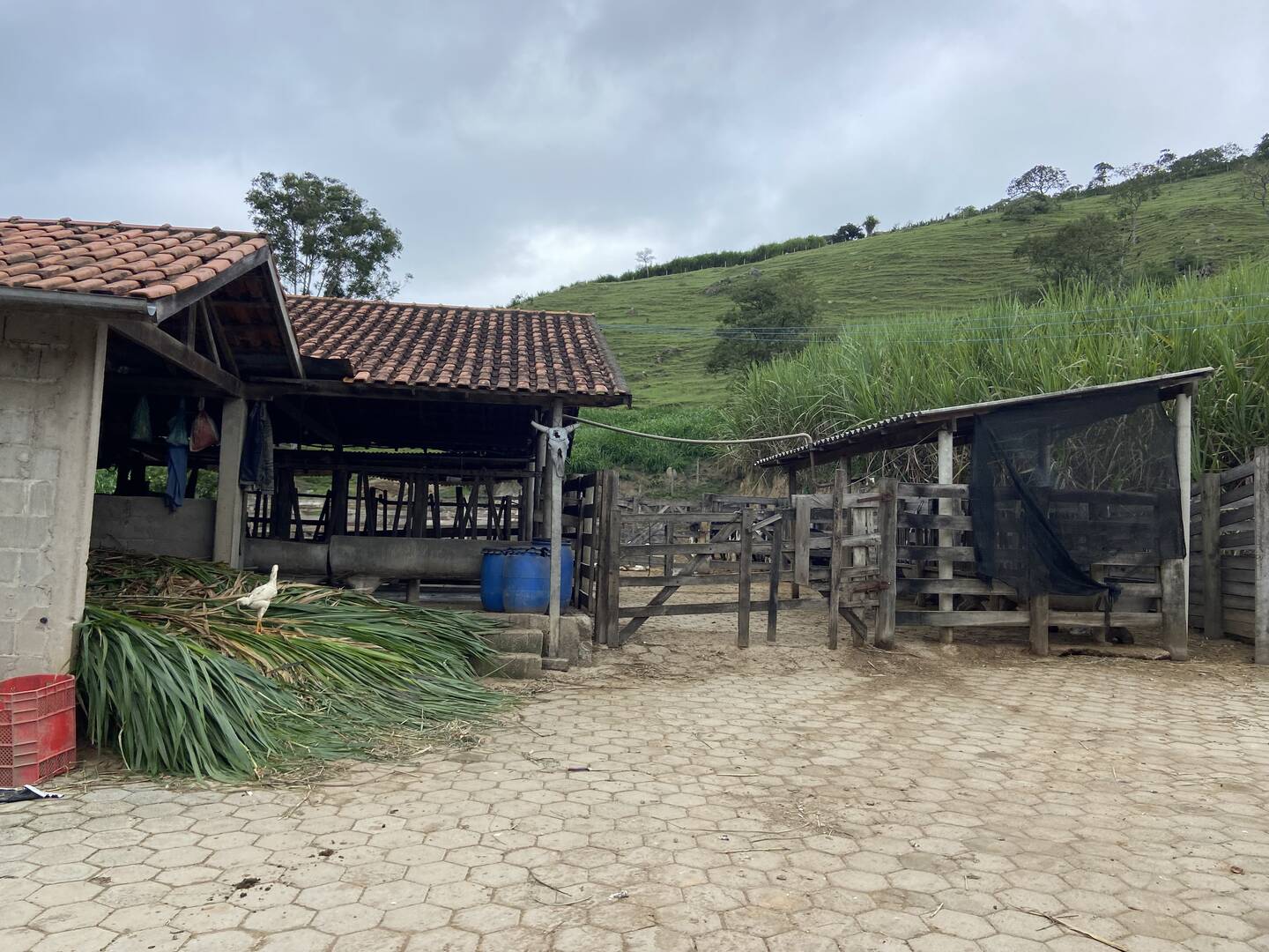 Sítio em São Luiz do Paraitinga/São Paulo — Ref PI5HGR — Imagem 31