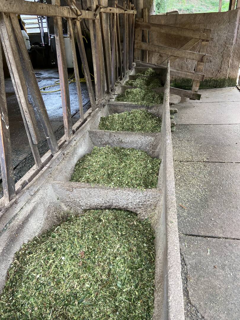 Sítio em São Luiz do Paraitinga/São Paulo — Ref PI5HGR — Imagem 37