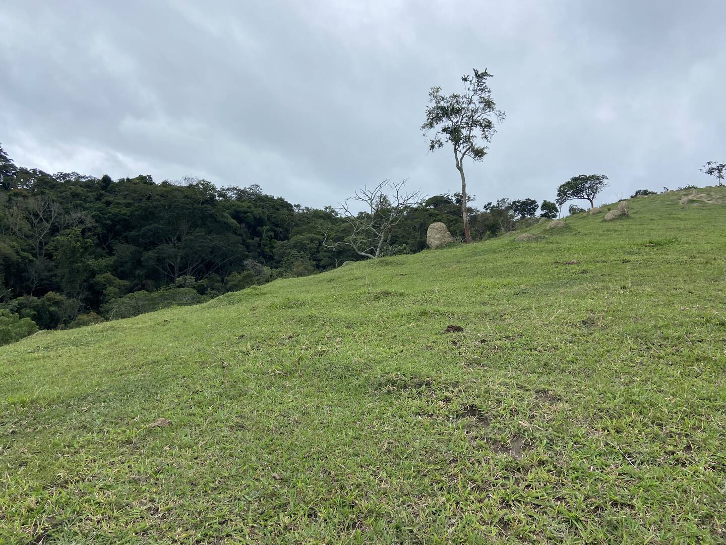 Sítio em São Luiz do Paraitinga/São Paulo — Ref PI5HGR — Imagem 38