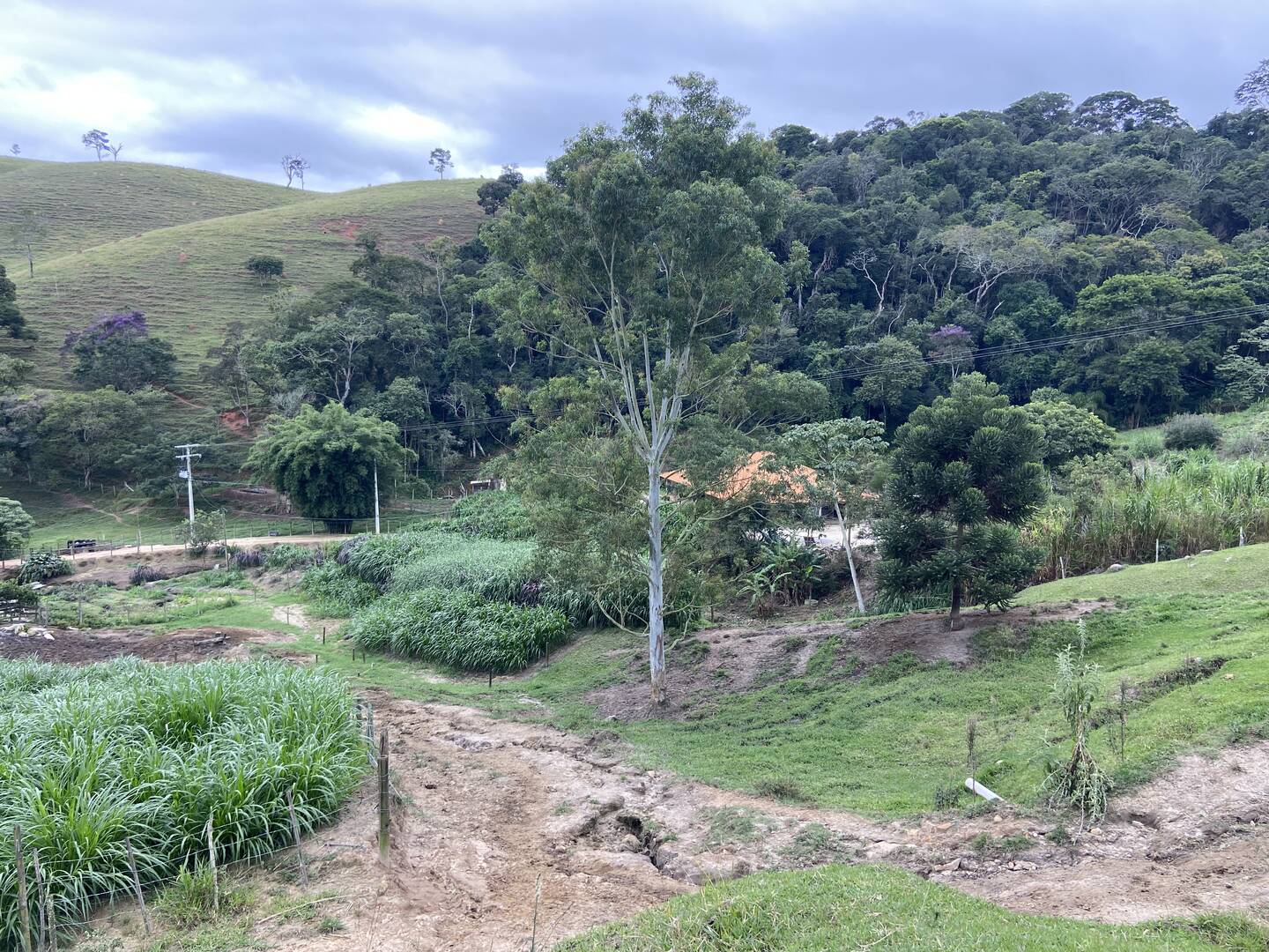 Sítio em São Luiz do Paraitinga/São Paulo — Ref PI5HGR — Imagem 39