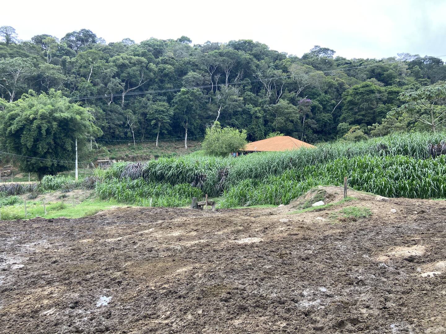 Sítio em São Luiz do Paraitinga/São Paulo — Ref PI5HGR — Imagem 40