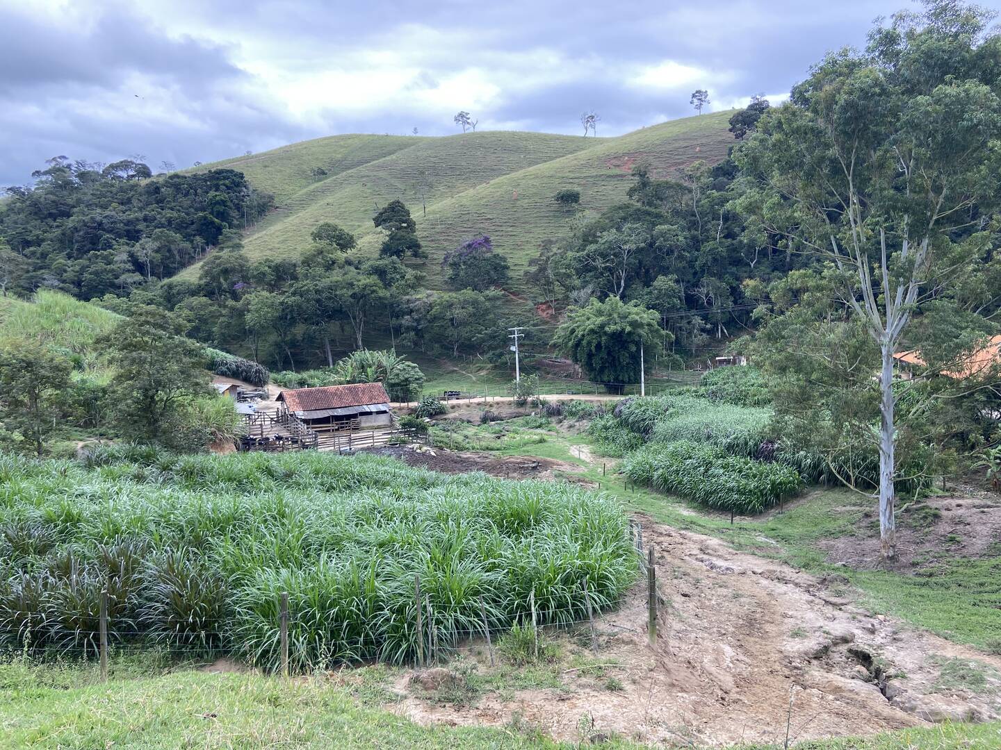 Sítio em São Luiz do Paraitinga/São Paulo — Ref PI5HGR — Imagem 41