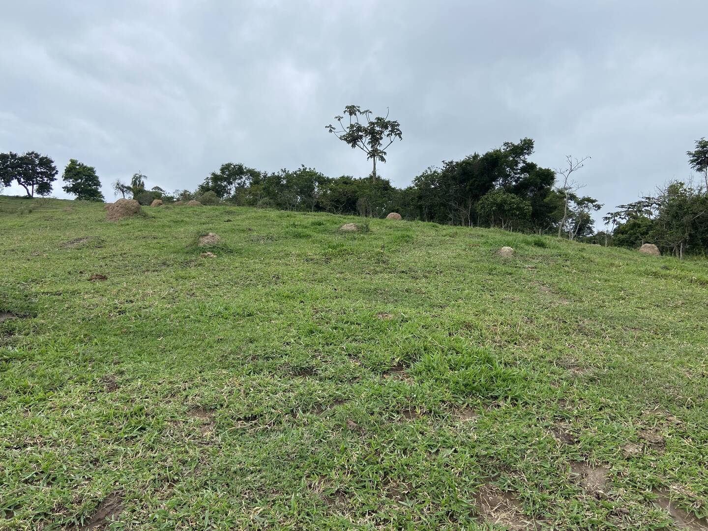 Sítio em São Luiz do Paraitinga/São Paulo — Ref PI5HGR — Imagem 46